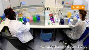 Corona-Boom – und nun? Augsburgs Labore begeben sich auf neue Wege