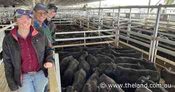 Does it get better than this? | The First Draft