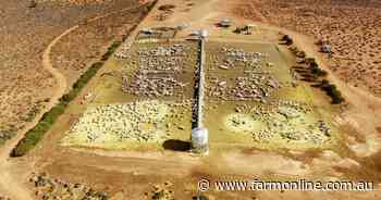 Outback sheep station is just 200km from Adelaide