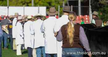 Catch the Sydney Royal Show from home