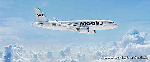 Marabu: Mit sieben Fliegern in die erste Saison