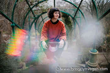 This is the Kit announce Gruff Rhys-produced album, share "Inside Outside" video