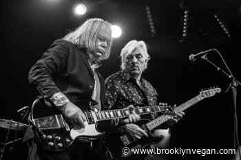 Robyn Hitchcock opened for himself at Bowery Ballroom (pics, setlist, video)