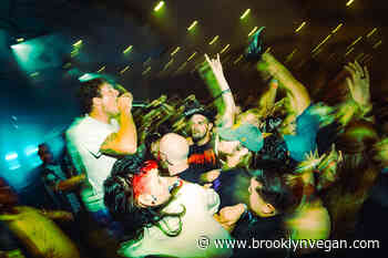 Drain share Descendents cover from new LP 'Living Proof' (watch the video)