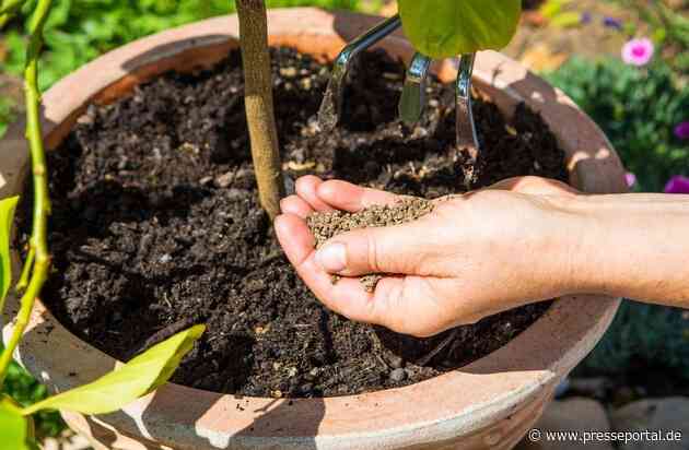 Frühling im Garten: So hilft der richtige Dünger beim Start in die neue Pflanzensaison
