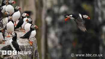 Campaign to stop people disturbing animals