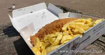 North East fish and chip shops go head-to-head to find best in the region - vote for your favourite