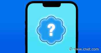 Twitter Check Marks: What All the Different Colors Mean     - CNET