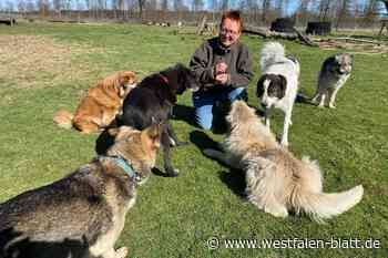 Privater Schutzhof aus Bad Lippspringe sucht dringend neues Zuhause