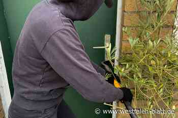 Firmen-Einbrecher in Bad Wünnenberg Haaren bleiben ohne Beute