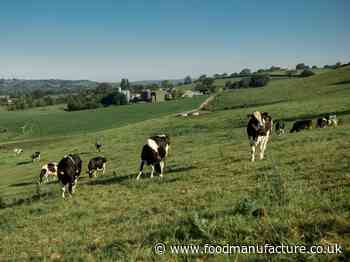 Dairy industry repeats calls for Code of Conduct