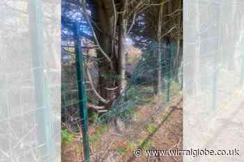 Youths break in and vandalise Heswall football club