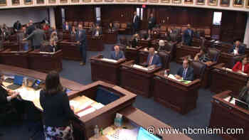 Florida Senate OKs Plan to Bar Certain Transgender Treatments for Minors