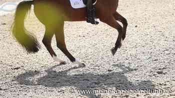 Gegen IOC-Bitte: Reitverband verbietet Teilnahme von Russen und Belarussen