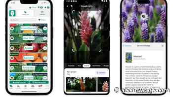Gardening help in the palm of your hand: 5 apps, phone tips