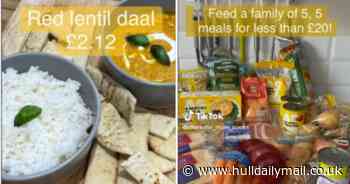 Mum feeds family of five tea for a week for budget-friendly price of under £20