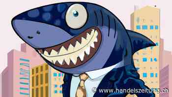 So werden Sie zum Kredithai