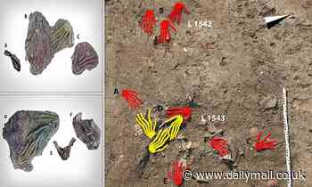 Archaeologists discover 12 severed HANDS in an Egyptian palace