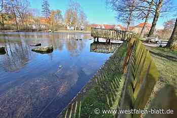 Clan entführt Mann (31): Tatort Ententeich in Nieheim