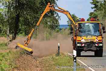 Enger: Mehr Blühstreifen statt ökologischerer Mahd