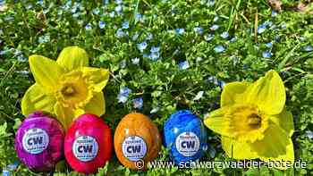 „spotted.kreiscalw“ auf Instagram: Betreiber initiiert große Ostereiersuche