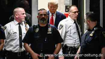 Millionengeschäft: Trumps Fake-Mugshots fluten das Internet