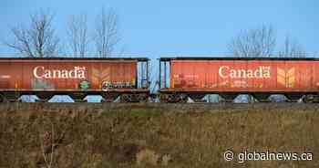 Train derails east of Edmonton, TSB says ‘no dangerous goods involved’