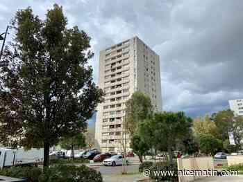 "C’est la tour de l’horreur": les habitants vivent l’enfer dans cet immeuble de la cité Berthe à La Seyne