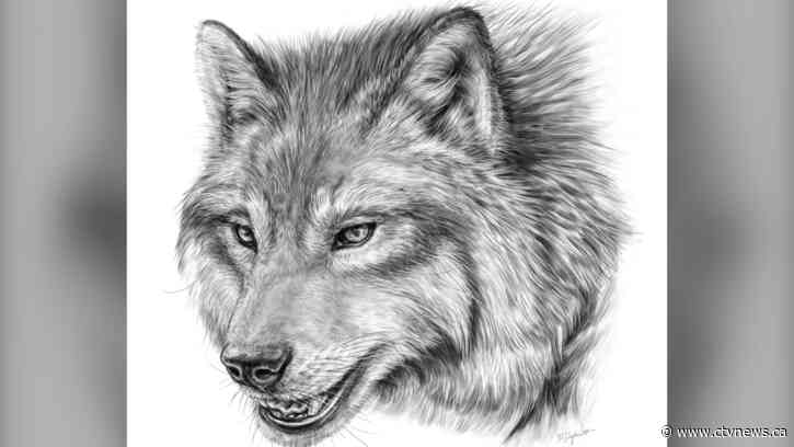 Scientists confirm first Canadian fossil of Ice Age predator the dire wolf