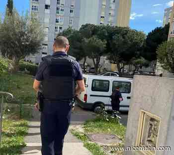 Trafic de drogue aux Moulins à Nice: et si on verbalisait les voitures des clients?