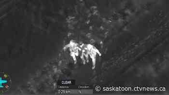 See the moment Sask. police rescue an 86-year-old man stranded in snowy field after nightfall