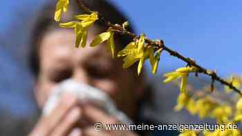 Allergien vorbeugen, geht das? Heilpraktiker gibt Tipps und erklärt Zusammenhänge