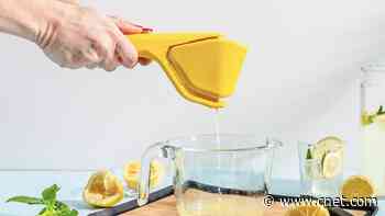 This $15 Citrus Juicer Is My Favorite Kitchen Buy of the Year     - CNET