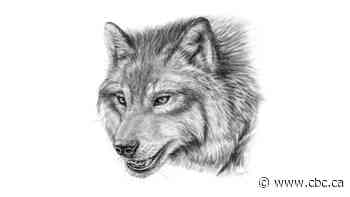 Dire wolf did live in Canada during Ice Age, study finds
