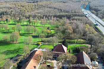 Golfclub-Präsident will Betrieb einstellen und Solaranlage bauen