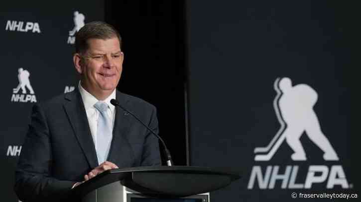 ‘Union guy through and through’: New NHLPA boss getting positive early reviews