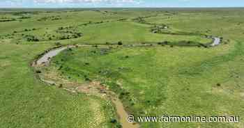 Quality cattle country with high weight gains | Video