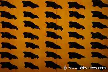 Scientists confirm first Canadian fossil of Ice Age predator the dire wolf