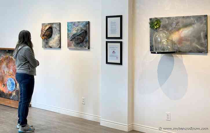 Earthscapes exhibit at AGB is like a ‘visual feast’
