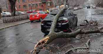 Power outages surpass 662K as freezing rain pounds Quebec
