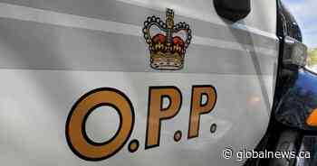 2 Kenora OPP officers charged with assault, suspended with pay
