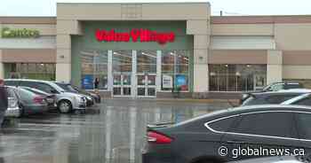 Kingston, Ont. woman mistakenly donates cat’s ashes