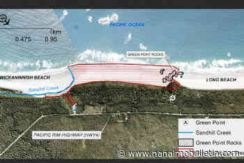 Pacific Rim National Park Reserve announces temporary dog ban to protect shorebirds