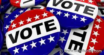 System glitch caused some election night confusion in Kane County