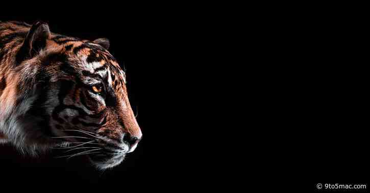 Apple tiger teams reexamining supply chain, down to screws and plastic inserts