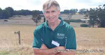 Kikuyu could be an answer to autumn feed gap