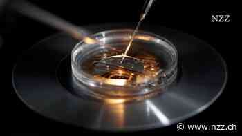 Gruppe um Elon Musk fordert Pause bei der Entwicklung von KI – Was Moratorien in der Biotechnologie bewirkt haben