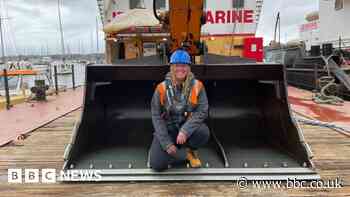 New reef will be home to 30,000 oysters