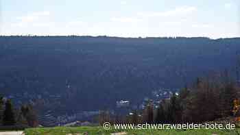 Sleeperoo-Insolvenz : Wie geht es mit "Cubes" auf Bad Wildbader Sommerberg weiter?