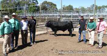 Good results from Bullocks Hills sale